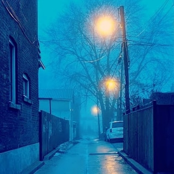 Meet your Posher, Julia - Picture 1 of 1